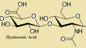 Hyaluronic Acid Moecule